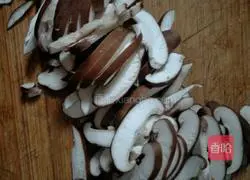 Spring roll recipe 6