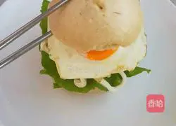 Big Mac Chinese Hamburger Recipe Illustration 11