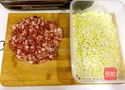 Illustration of how to make family version of pot stickers 2