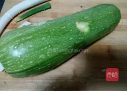 Pork and Zucchini Pot Stickers Illustration 1