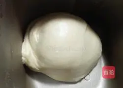 Illustration of how to make hamburger embryos 1