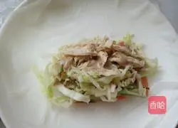 Illustration of how to make Vietnamese rice rolls with salad and spring rolls 6