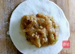 Illustration of how to make mushroom and chicken pot stickers 11