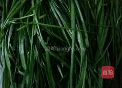 Leek Box Recipe Illustration 1