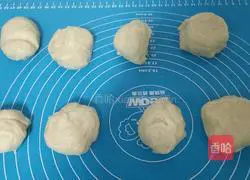 Illustration of how to make hamburger embryos 5