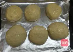 Illustration of how to make hamburger embryos 10