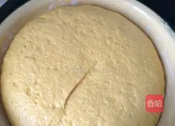 Pumpkin Illustration of how to make hair cake 3