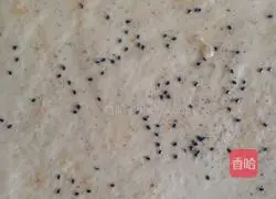 Illustration of how to make salt and pepper rolls 2