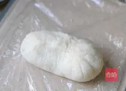 Illustration of how to make egg and salmon rice balls 11