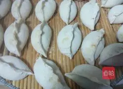 Pork and Zucchini Pot Stickers Recipe Illustration 14