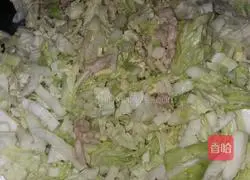 Illustration of how to make spring rolls 6