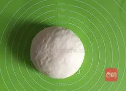 Illustration of how to make beef pot stickers 1