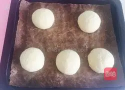 Illustration of how to make hamburger embryos 6