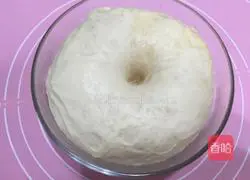 Illustration of how to make hamburger embryos 5