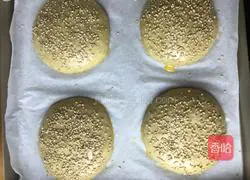 Illustration of how to make sesame whole wheat burger embryos 9