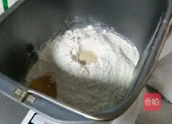 Illustration of how to make hamburger embryos 2