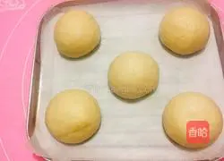 Illustration of how to make hamburger embryos 9