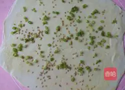 Illustration of how to make sesame and scallion oil flower rolls 7