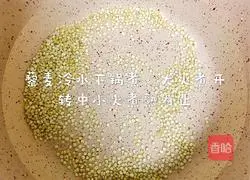 Quinoa Oatmeal Fruit Porridge Recipe Illustration 3