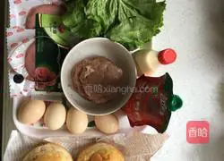 Big Mac Hamburger Recipe Illustration 7