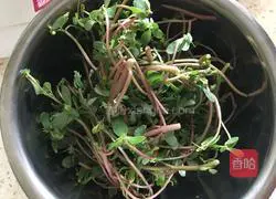 Illustration of how to make purslane steamed buns 3