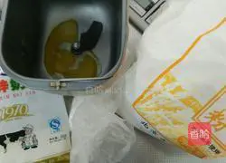 Illustration of how to make hamburger embryos 1