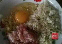 Pork and shrimp pot stickers recipe 6