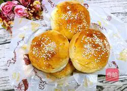 Illustration of how to make hamburger embryos 12