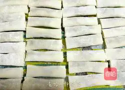 Illustration of homemade spring rolls 13