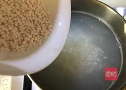 Pineapple and sago porridge recipe 5