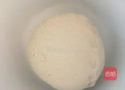 Illustration of how to make wild vegetable pot stickers 1