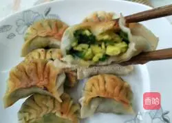 Illustration of how to make pot sticker dumplings 17