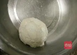 Illustration of how to make vegetarian pot stickers 4