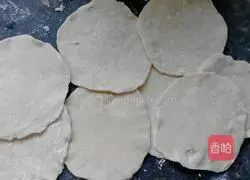 Illustration of making homemade cabbage and pork pot stickers 5