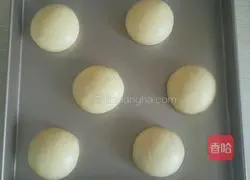 Illustration of how to make hamburger embryos (one-time fermentation) 3