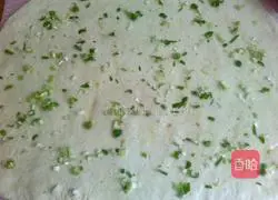 Illustration of home-style onion rolls 6