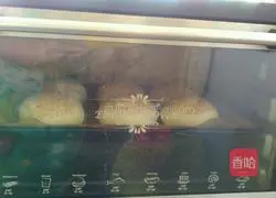 Lazy version of hamburger embryo (one-time fermentation) illustration 16