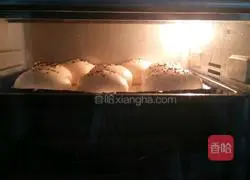 Illustration of how to make hamburger embryos 12