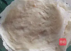 Chicken Spring Roll Recipe Illustration 5