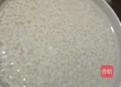 Illustration of making sausage glutinous rice claypot 2