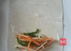 Illustration of homemade spring rolls 3