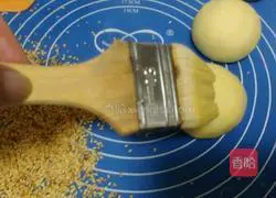 Illustration of the lazy version of hamburger embryo (one-time fermentation) 10