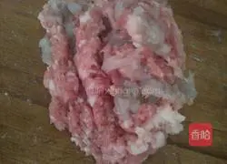 Pork and shrimp pot stickers illustration 3