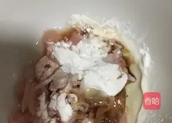 Illustration of traditional home-style braised noodles 5