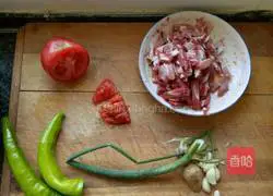 Illustration of Beef Braised Noodles 1