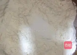 Illustration of how to make hamburger embryos 5