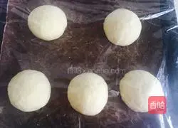 Illustration of how to make hamburger embryos 7