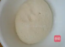 Cow Illustration of how to make scallion rolls 1