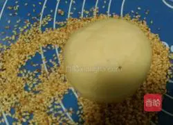 Illustration of the lazy version of hamburger embryos (one-time fermentation) 12