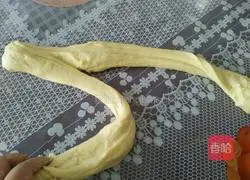 Illustration of how to make hamburger embryos 3